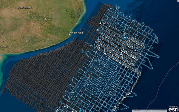 Exploración sísmica frente a Mar del Plata - Sputnik Mundo