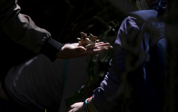 Búsqueda de la Comisión local y familiares de los tres trabajadores de Sanborns desaparecidos en el norte de la Ciudad de México - Sputnik Mundo