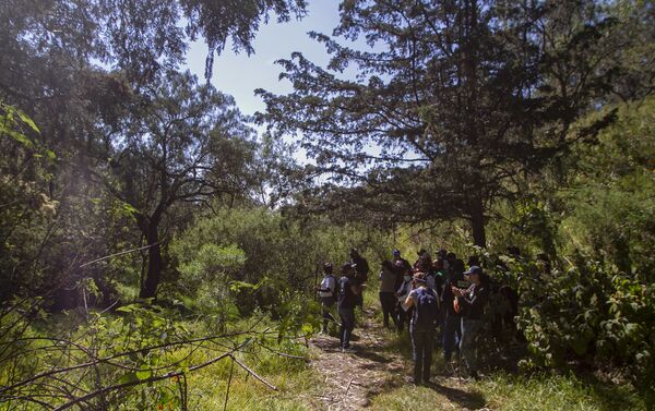 Búsqueda de la Comisión local y familiares de los tres trabajadores de Sanborns desaparecidos en el norte de la Ciudad de México - Sputnik Mundo
