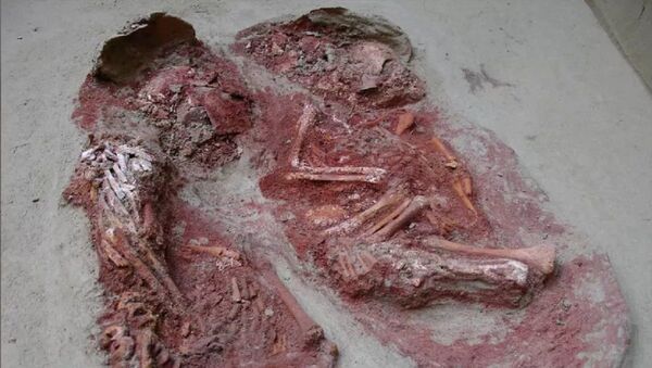 Encuentran en Austria los restos de los gemelos más antiguos del mundo Encuentran en Austria los restos de los gemelos más antiguos del mundo - Sputnik Mundo