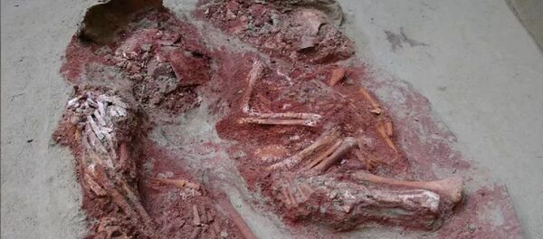 Encuentran en Austria los restos de los gemelos más antiguos del mundo - Sputnik Mundo