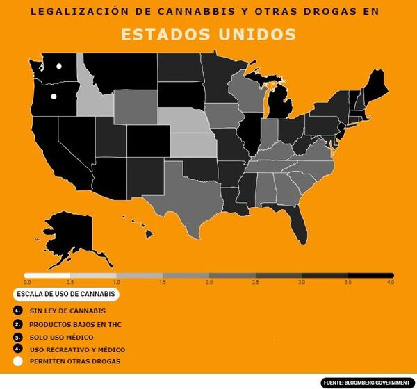 Radiografía de la legalización de drogas en Estados Unidos y sus efectos en América Latina - Sputnik Mundo