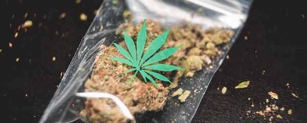 Una bolsa con cannabis (imagen referencial) - Sputnik Mundo