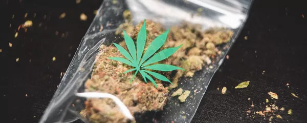 Una bolsa con cannabis (imagen referencial) Una bolsa con cannabis (imagen referencial) - Sputnik Mundo