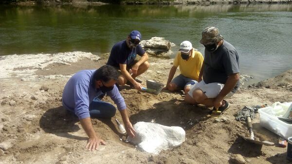 Hallan gigantesco molar de más de 1,6 kilos en Argentina | Fotos - Sputnik Mundo