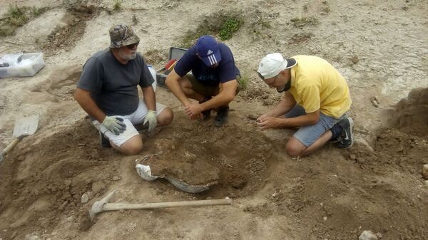 Hallan gigantesco molar de más de 1,6 kilos en Argentina | Fotos - Sputnik Mundo