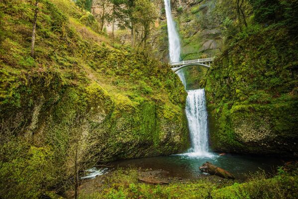 En 1914, unos artesanos italianos construyeron un puente de piedra en el lugar de un puente de madera cerca de las cataratas Multnomah, en Oregón (EEUU), al que más tarde se le asignó el nombre de puente en honor a Simon Benson, que era el propietario de las tierras alrededor de las cataratas y que pagó por la construcción del puente. El puente Benson permite cruzar las cataratas entre las cascadas inferior y superior a 32 metros de altura y es una de las obras arquitectónicas más fotografiadas del estado de Oregón.  
 - Sputnik Mundo