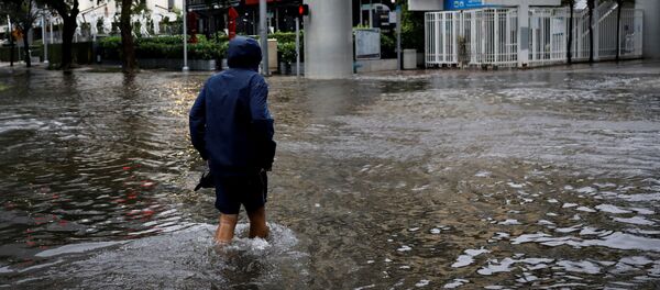 Consecuencias de las lluvias de Eta - Sputnik Mundo