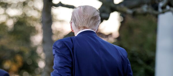 Presidente de EEUU, Donald Trump - Sputnik Mundo