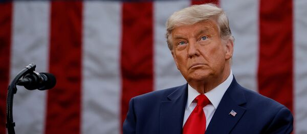 Donald Trump, presidente de EEUU - Sputnik Mundo