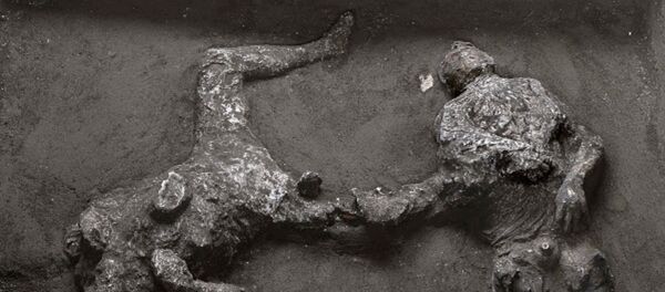 Los restos de dos hombres muertos en la erupción del Vesubio Los restos de dos hombres muertos en la erupción del Vesubio - Sputnik Mundo