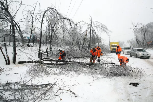 Un ciclón de nieve y una lluvia de hielo azotan el Lejano Oriente ruso: daños colosales

 - Sputnik Mundo