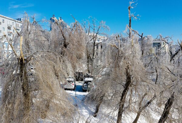 Un ciclón de nieve y una lluvia de hielo azotan el Lejano Oriente ruso: daños colosales

 - Sputnik Mundo