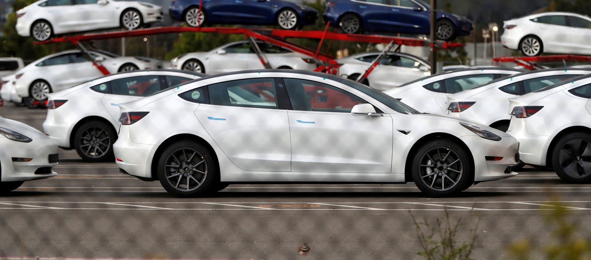 Unos vehículos de Tesla en el estacionamiento de la principal fábrica de la marca, en Fremont, California - Sputnik Mundo, 1920, 25.11.2020