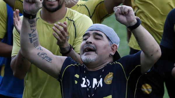 Diego Maradona, ex director técnico de Dorados de Sinaloa Diego Maradona, ex director técnico de Dorados de Sinaloa - Sputnik Mundo