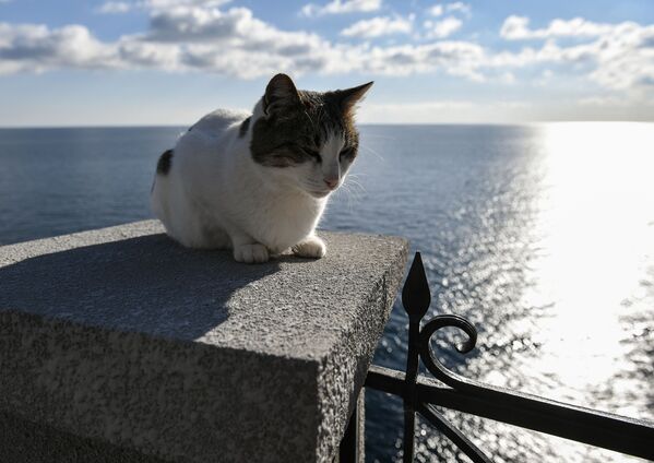 El símbolo de Crimea se reabre al público - Sputnik Mundo