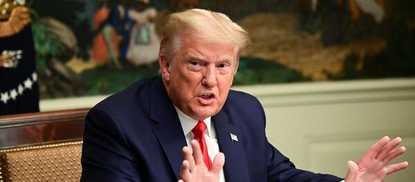 Donald Trump, presidente de EEUU - Sputnik Mundo