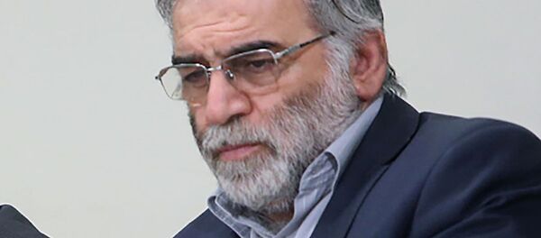 El físico nuclear iraní, Mohsen Fakhrizadeh - Sputnik Mundo