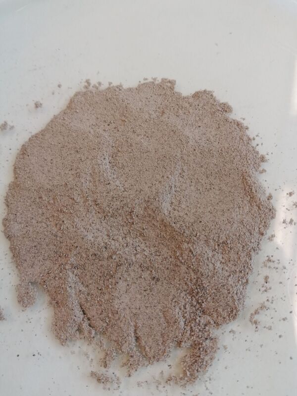 El superalimento chileno a base de algas marinas y hongos El superalimento chileno a base de algas marinas y hongos - Sputnik Mundo