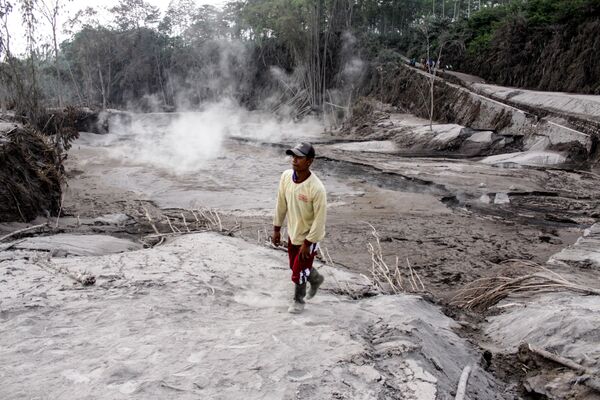 Un hombre camina por una carretera cubierta de ceniza volcánica expelida en la erupción del monte Semeru. - Sputnik Mundo