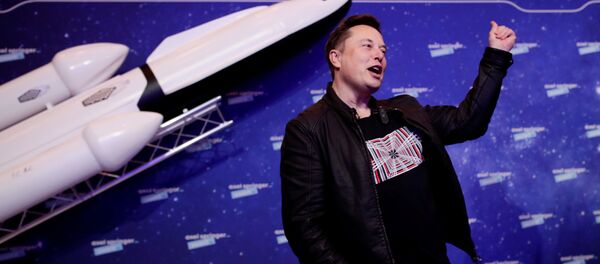 Elon Musk, director ejecutivo de SpaceX, en la alfombra roja de los premios Axel Springer - Sputnik Mundo
