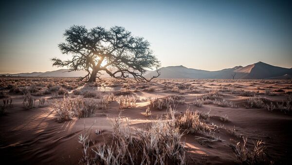 Paisaje de Namibia - Sputnik Mundo