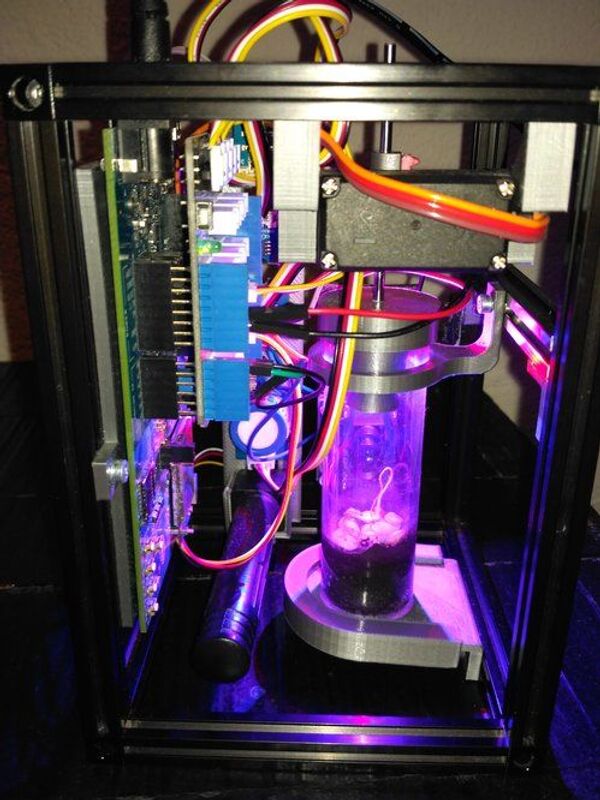 Cápsula ideada por Green Project Moon - Sputnik Mundo