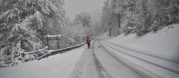 Roncesvalles, España (archivo, 2019) Roncesvalles, España (archivo, 2019) - Sputnik Mundo