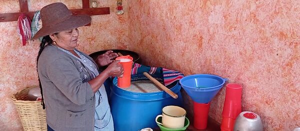 Doña Eulogia Montaño, quien tiene su chichería en Punata, sirve una jarra para sus parroquianos - Sputnik Mundo