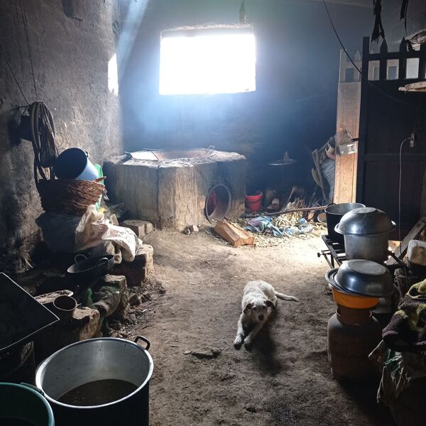 Aquí es donde ocurre la magia chichera del señor Camacho - Sputnik Mundo