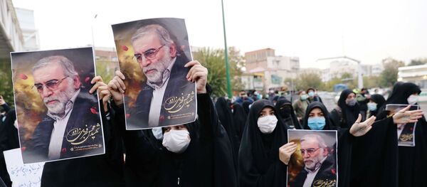 Manifestación contra el asesinato del científico iraní Mohsen Fajrizade en Teherán, Irán - Sputnik Mundo