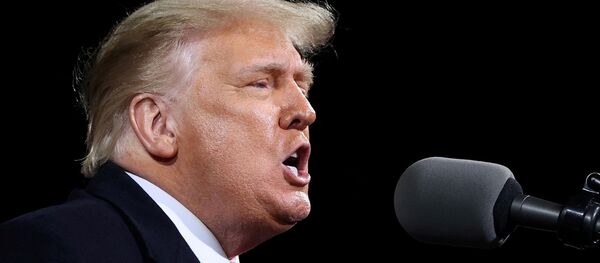 Donald Trump, presidente de EEUU - Sputnik Mundo