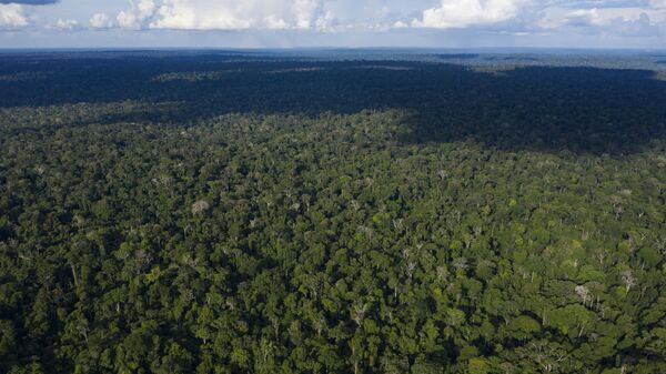 La selva amazónica (archivo) - Sputnik Mundo