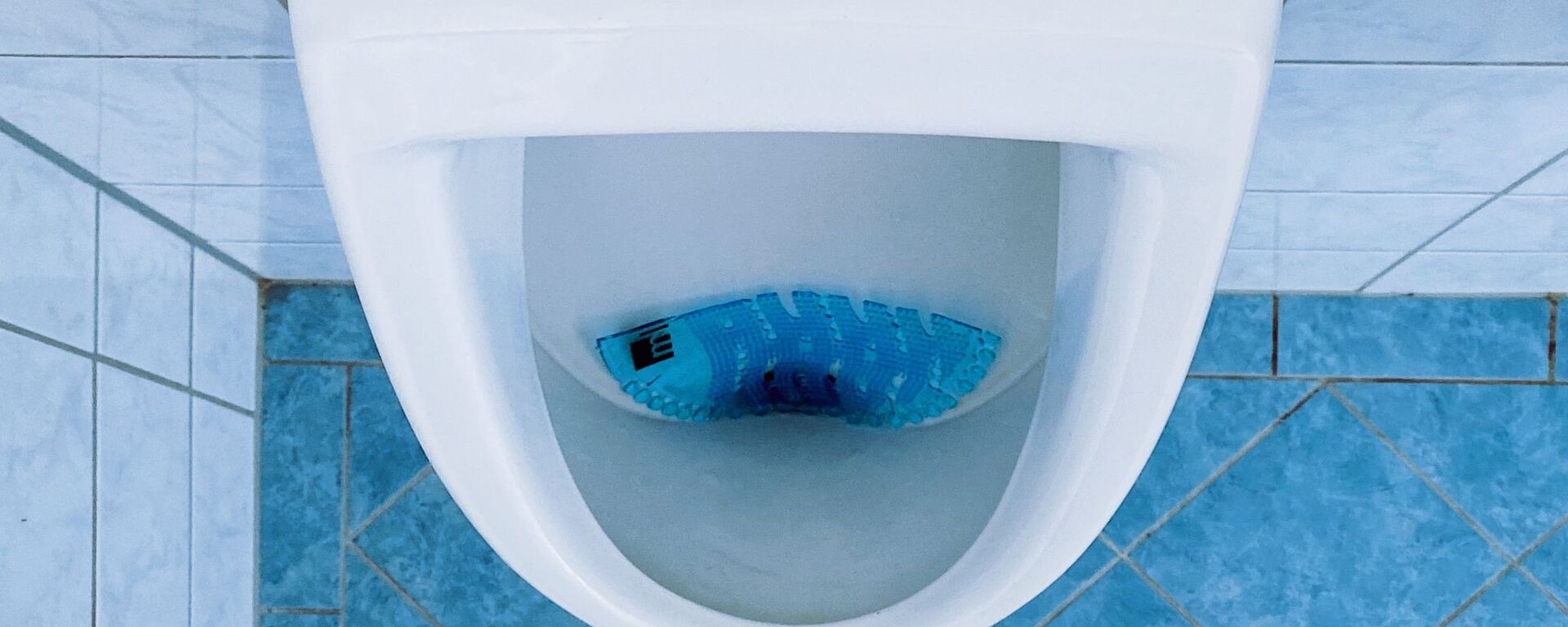 Inodoro (imagen referencial) - Sputnik Mundo, 1920, 12.12.2020