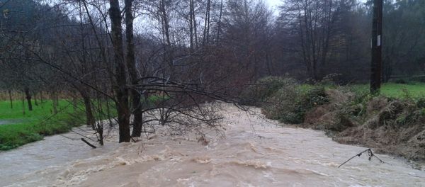 Río Arretxabelange (País Vasco) - Sputnik Mundo