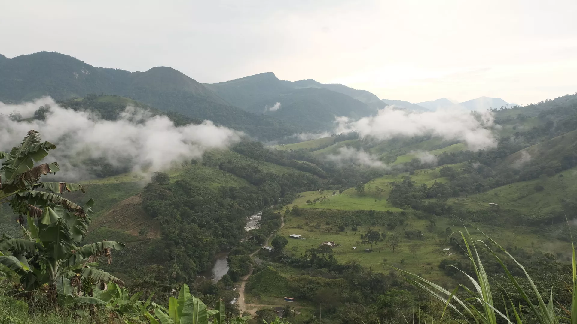 Bosques del departamento de Chocó, Colombia - Sputnik Mundo, 1920, 30.05.2022
