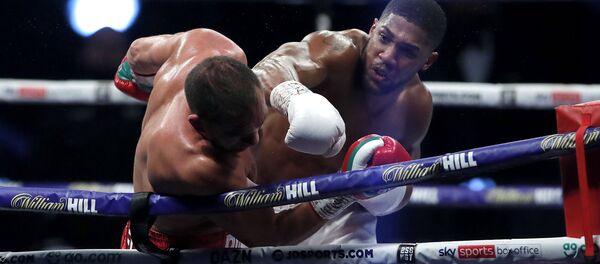 Una pelea entre Anthony Joshua y Kubrat Pulev - Sputnik Mundo