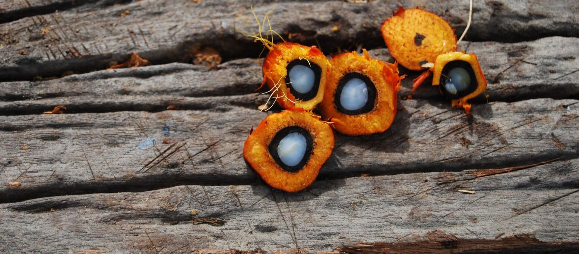 Unas frutas con aceite de palma dentro - Sputnik Mundo, 1920, 15.12.2020