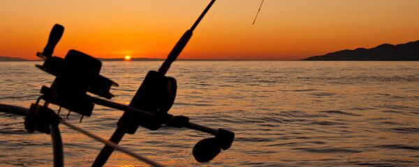 Pesca (imagen referencial) - Sputnik Mundo