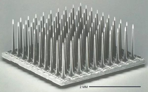 Matriz de electrodos de Utah utilizada en el experimento Matriz de electrodos de Utah utilizada en el experimento - Sputnik Mundo