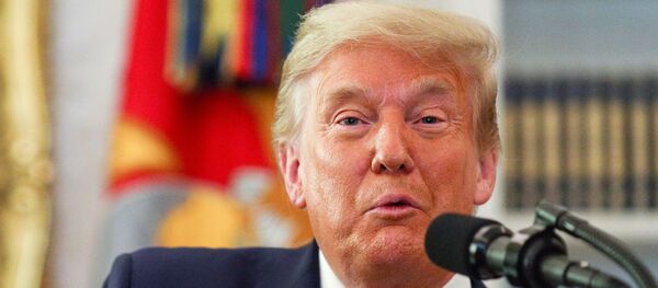 Donald Trump, presidente de EEUU Donald Trump, presidente de EEUU - Sputnik Mundo