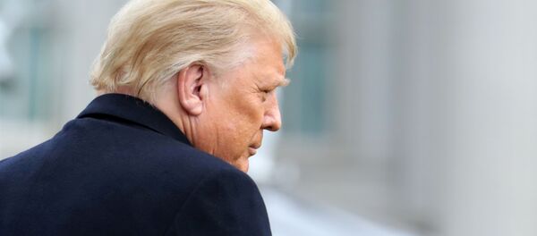 Donald Trump, presidente de EEUU  - Sputnik Mundo