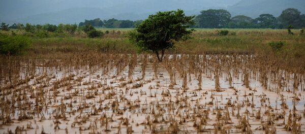 Inundaciones en Honduras - Sputnik Mundo