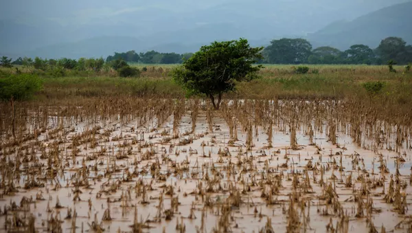 Inundaciones en Honduras