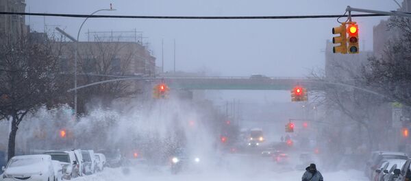 Nevada en Nueva York, EEUU - Sputnik Mundo