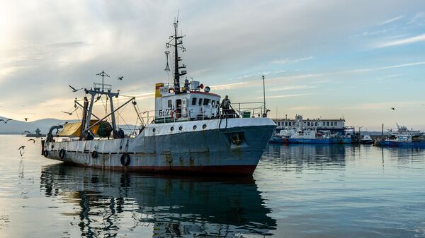 Un barco pesquero - Sputnik Mundo