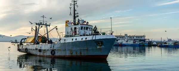 Un barco pesquero - Sputnik Mundo