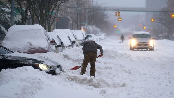 Nevada en Nueva York - Sputnik Mundo