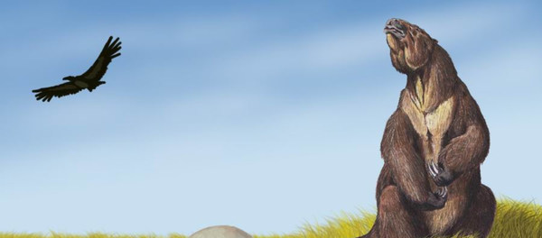 Un perezoso gigante, ilustración - Sputnik Mundo