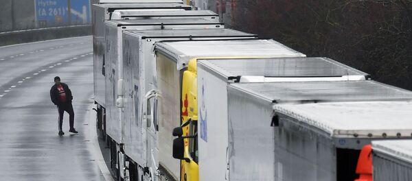 Un camionero durante la caravana cerca del Eurotunel de Folkestone - Sputnik Mundo